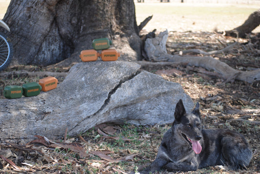 Pupparoo Trailbuddy™ – Portable Dog Water & Food Station